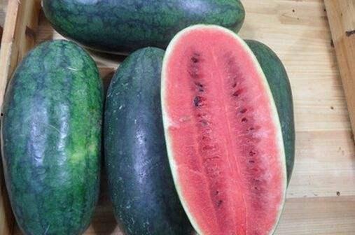 52爆料吃瓜黑料每日大赛聚集地,揭秘吃瓜黑料每日大赛聚集地，揭秘娱乐圈幕后真相