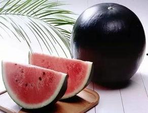 吃瓜群q黑料,一场网络舆论的风暴与反思